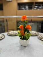 باك 3 + 1 هدية – Image 5