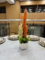 باك 3 + 1 هدية – Image 6