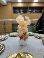 باك 3 + 1 هدية – Image 2