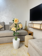 وردة بيونيا ( موبرا) – Image 7