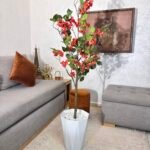 شجرة بوجينفيليا