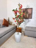 شجرة بوجينفيليا