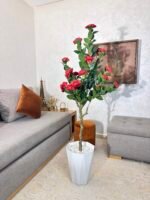 شجرة بوجينفيليا – Image 5