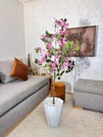 شجرة بوجينفيليا – Image 7