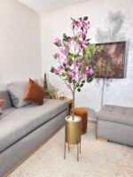 شجرة بوجينفيليا – Image 6