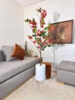 شجرة بوجينفيليا – Image 4