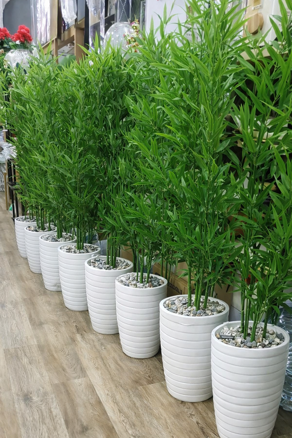 2026/03/1000358969.png شجرة البامبو – Image 1