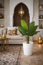⁦شجرة سترليتزيا (Strelitzia) – الموز⁩ - الصورة ⁦4⁩
