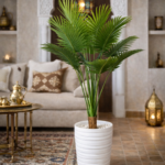 نخلة أريكا (Areca Palm)