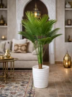 نخلة أريكا (Areca Palm)