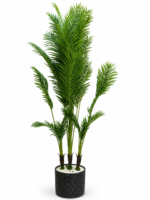 شجرة نخيل جودة عالية – Image 4